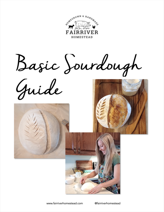 Basic Sourdough Guide