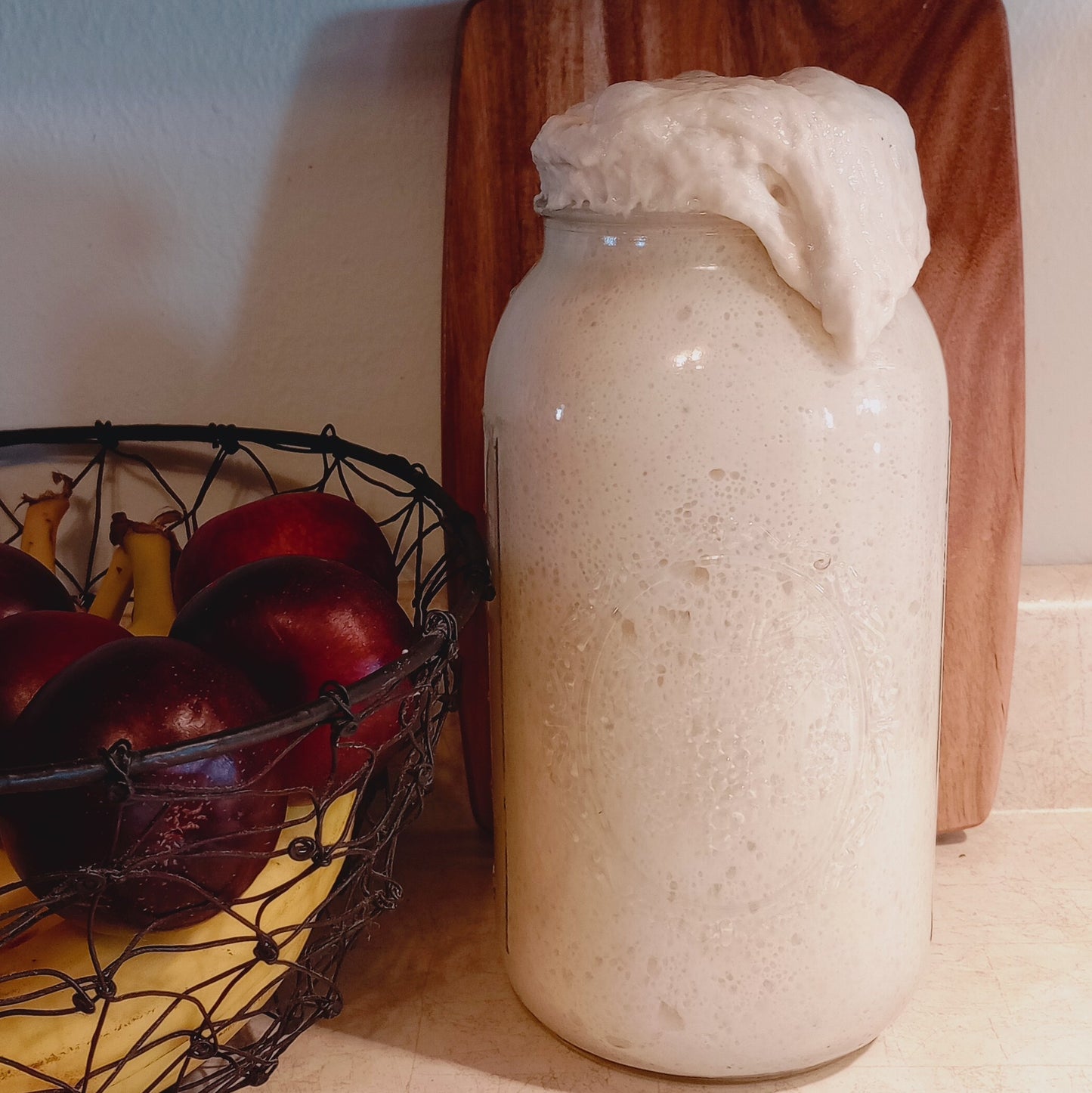 Sourdough Starter