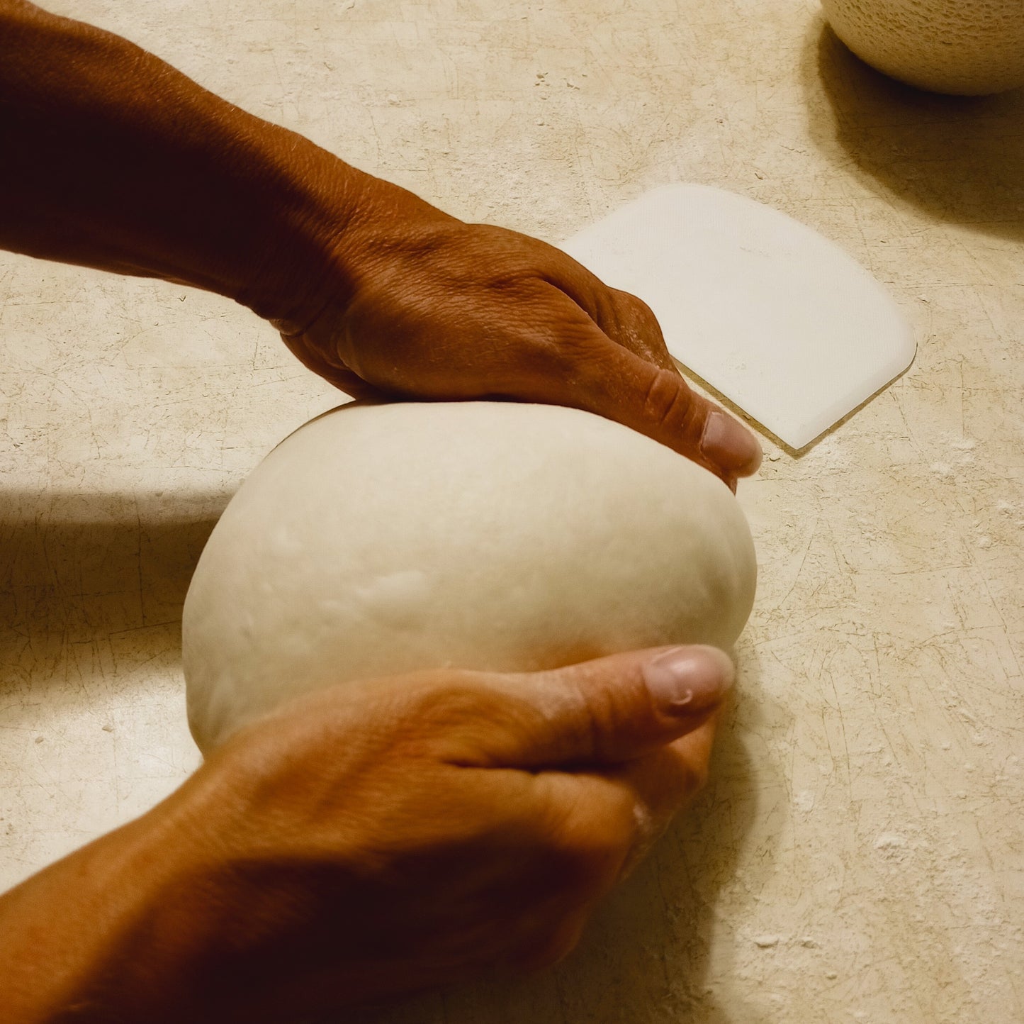 Sourdough Starter